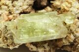 Lustrous, Yellow Apatite Crystals With Feldspar - Morocco #221043-2